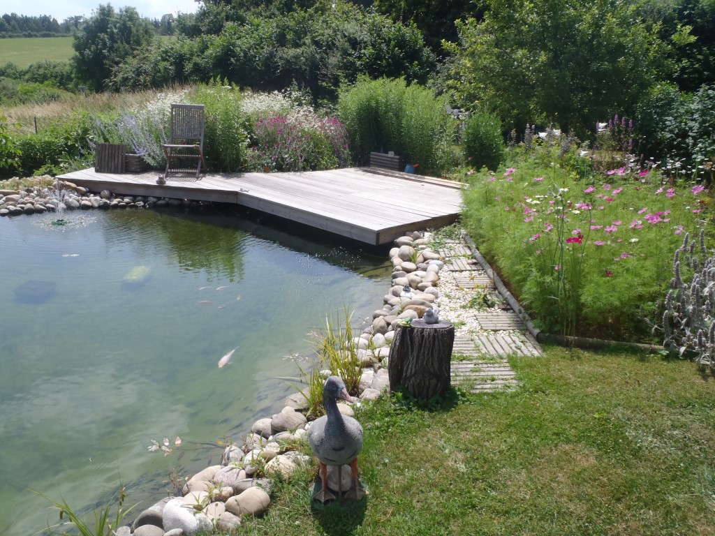 Aménagement paysager et aquatique, Bassin à filtration naturelle, COMBIER PAYSAGE 71 