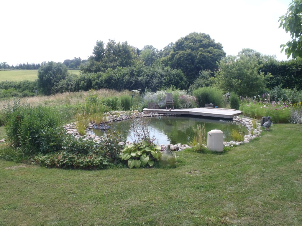 Aménagement extérieur bassin d'agrément combier paysage 71