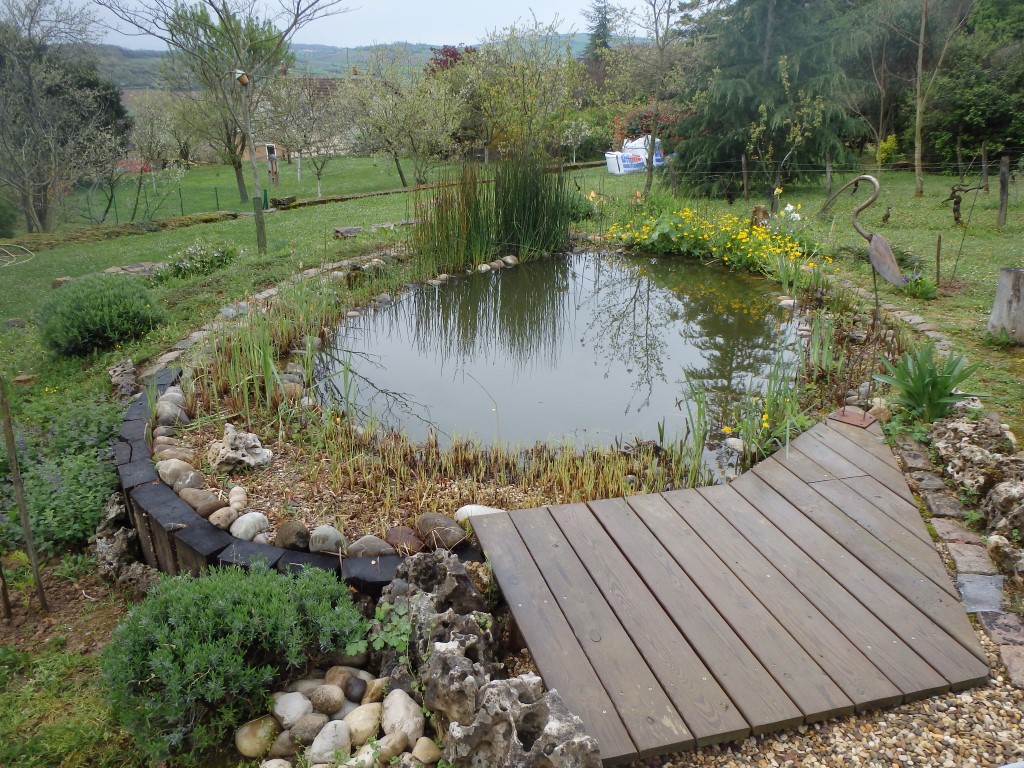 Aménagement extérieur, bassin d'agrément COMBIER PAYSAGE 71