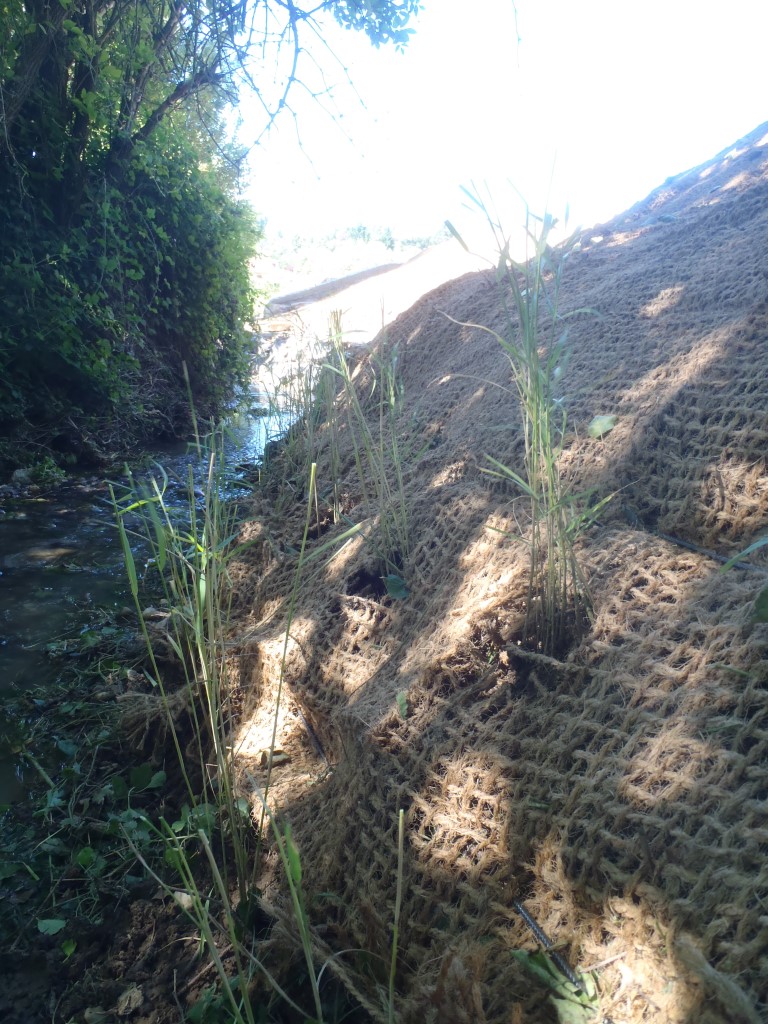 Aménagement paysager et aquatique, maintien, retenue de talus, stabilisation de berge, tapis coco, COMBIER PAYSAGE 71