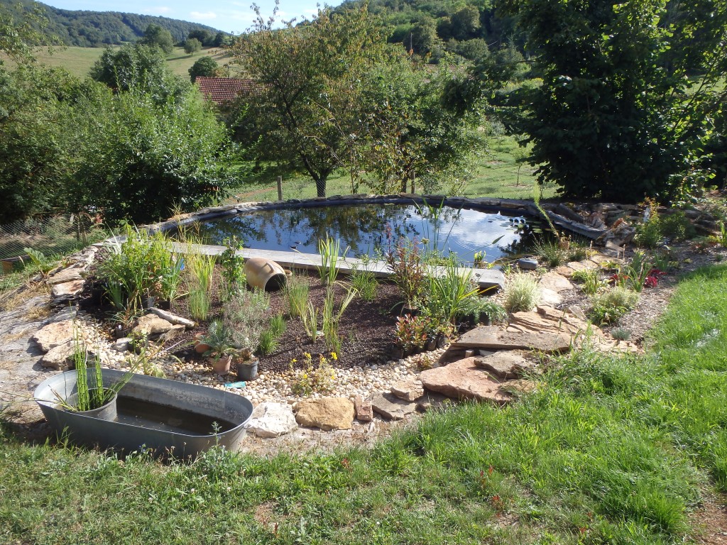 Aménagement paysager et Aquatique, récupération d'eau de pluie, COMBIER PAYSAGE 71