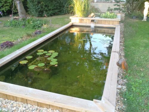 Etude hydraulique bassin, piscine, filtration naturelle ou  non, avec visite sur site, jusqu'à 60m3.