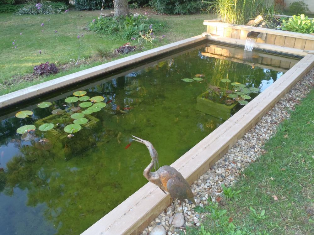 fontaine et petit bassin de jardin d'agrément Photos