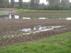 aménagement extérieur assainissement acces piscine bassin portail cloture en chantier combier paysage 71