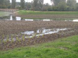 aménagement extérieur assainissement acces piscine bassin portail cloture en chantier combier paysage 71