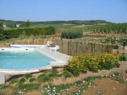 Piscine–béton–bois–traditionnelle–naturelle–bio–débordement-spa-combier-paysage-aquatique-71–Aménagement-extérieur-étude-paysagiste-Macon-Chalon–Louhans–Charolles–Cluny–Paray-Le Creusot-Montceau