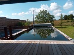 Bassin artificiel à filtration naturelle 10.00 x 4.00 m - Combier-Paysage-71–Aménagement-extérieur-étude-paysagiste-Macon-Chalon–Louhans–Charolles–Cluny–Paray-Creusot-Montceau